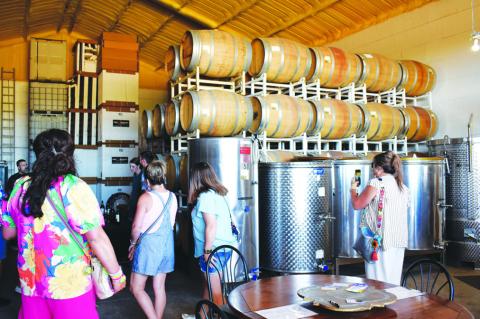 Vineyard & Wine Festival 2024 highlights