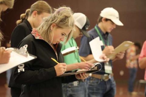 Terry County 4-H Members Excel at Texas 4-H Roundup