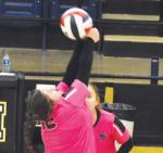 Lady Cats struggle against Klondike